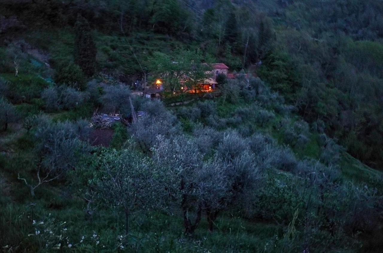 Agriturismo Tananei Marliana Экстерьер фото