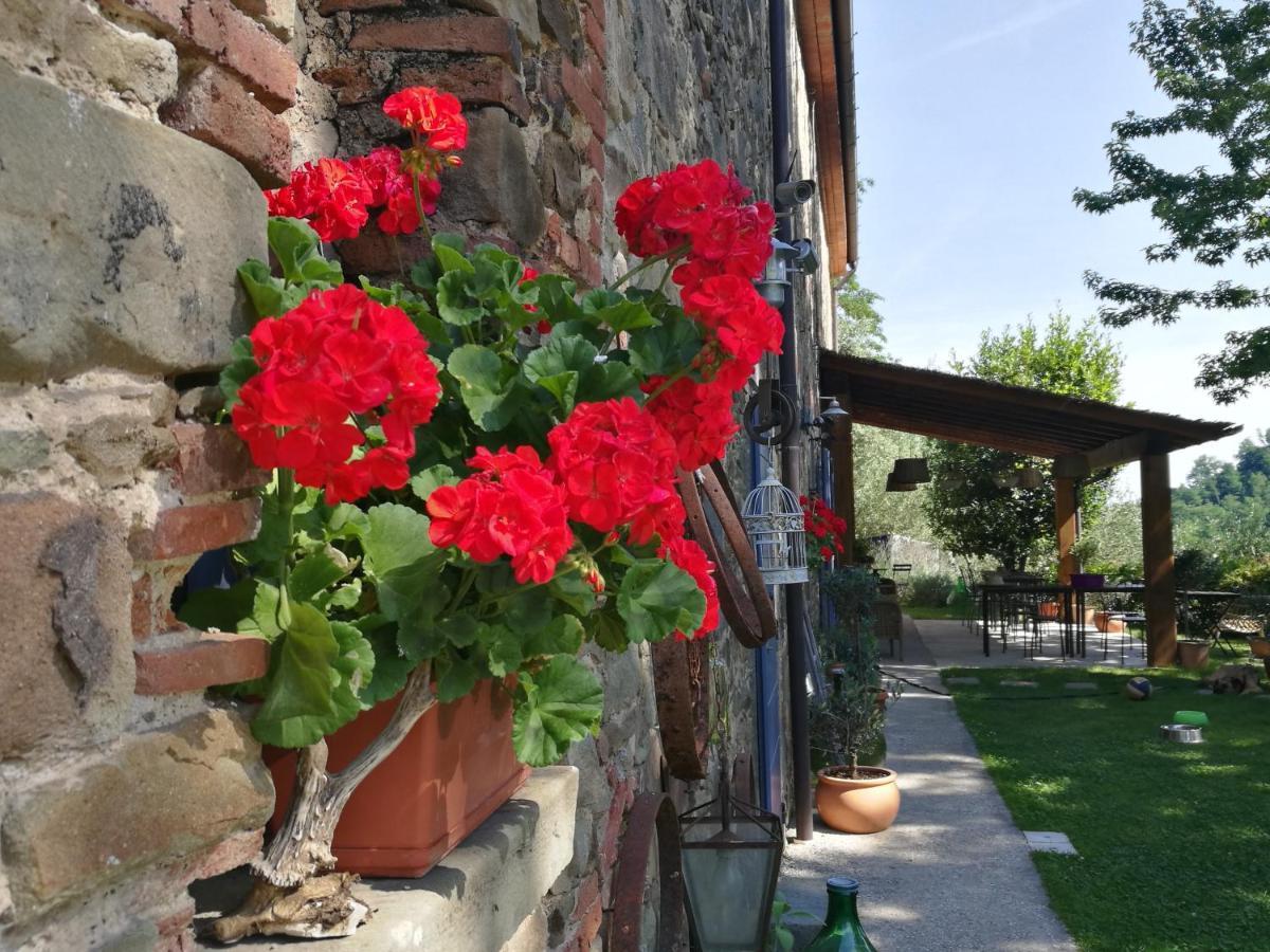 Agriturismo Tananei Marliana Экстерьер фото