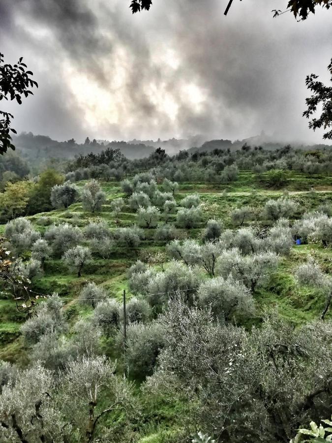 Agriturismo Tananei Marliana Экстерьер фото